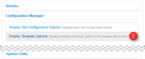 display-template-options