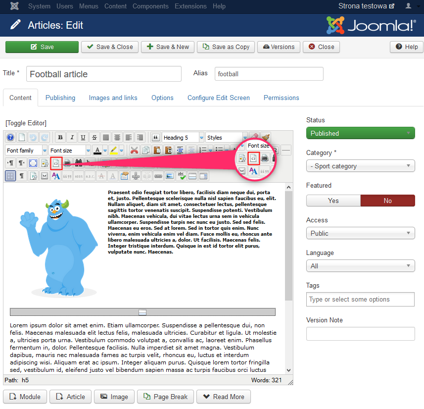 JCE Joomla Editor