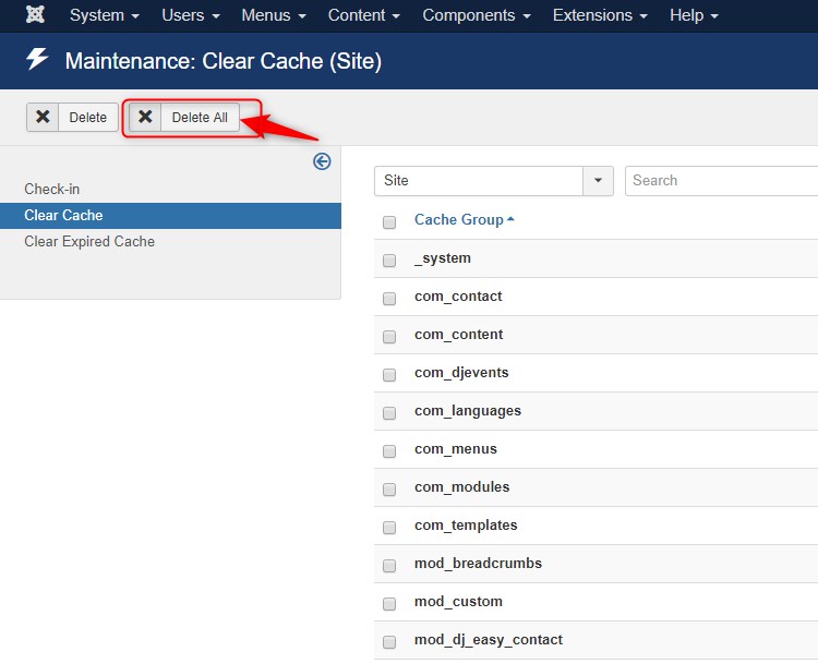 clear all joomla cache