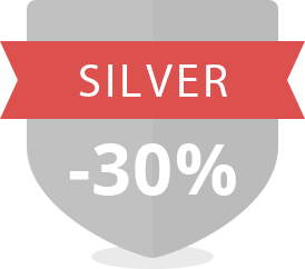 Silver Level